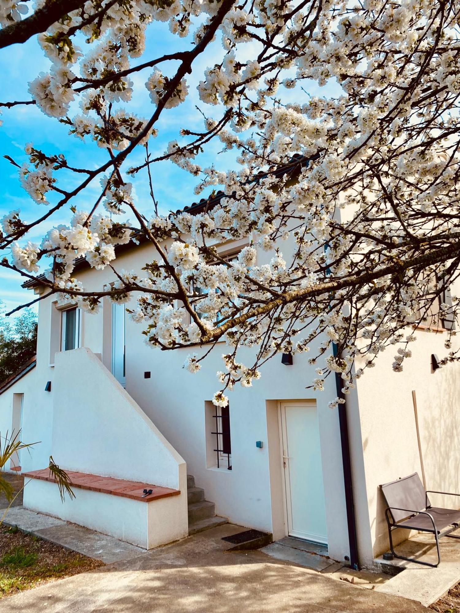 Charmante Maison, Lumineuse. Holiday home Castelnau-d'Estretefonds